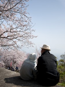 桜が咲く誇こる中、長年連れ添った老夫婦が仲良く花見をしていた　伊吹島（香川県）